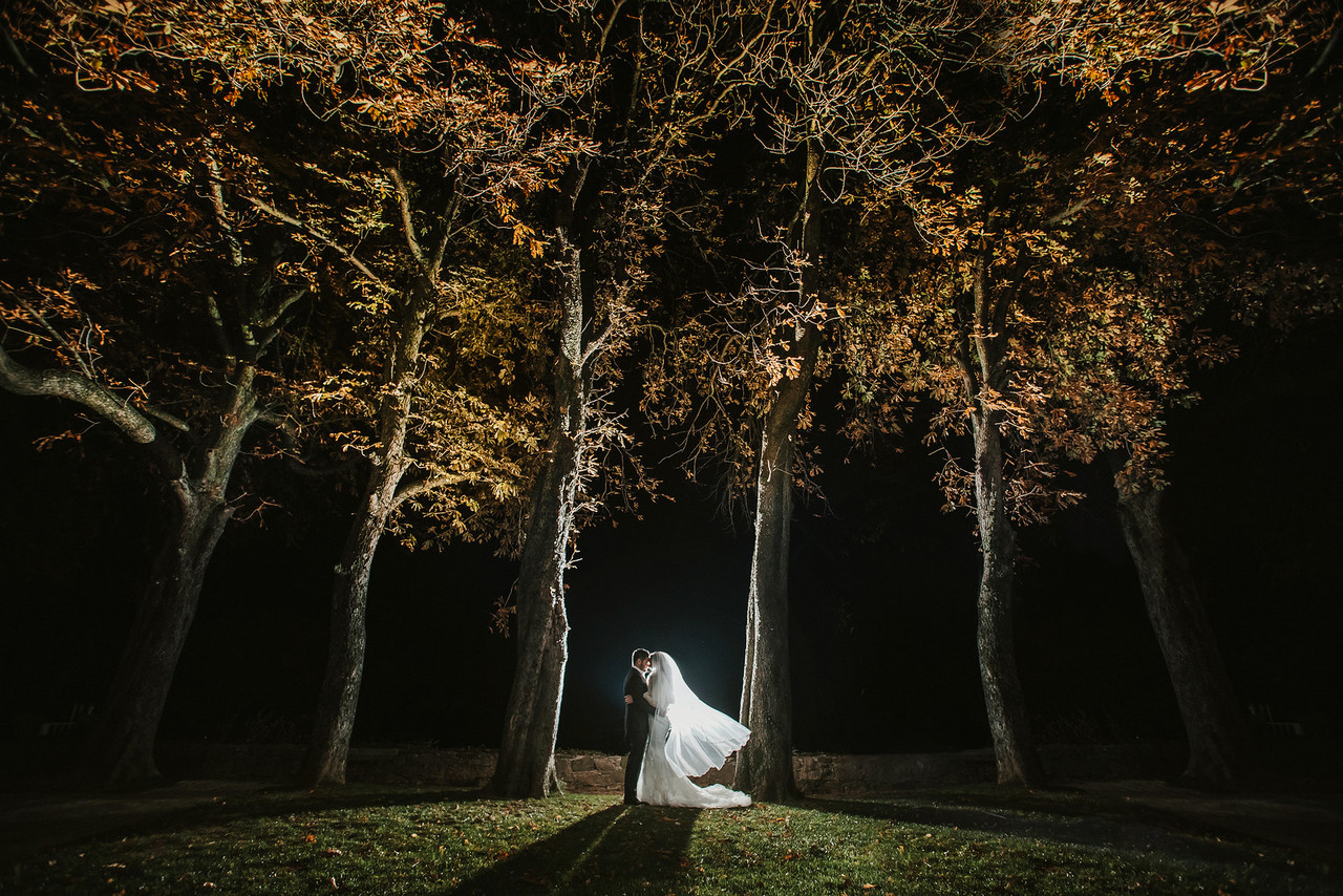 Dvorec Zemono - Poroke